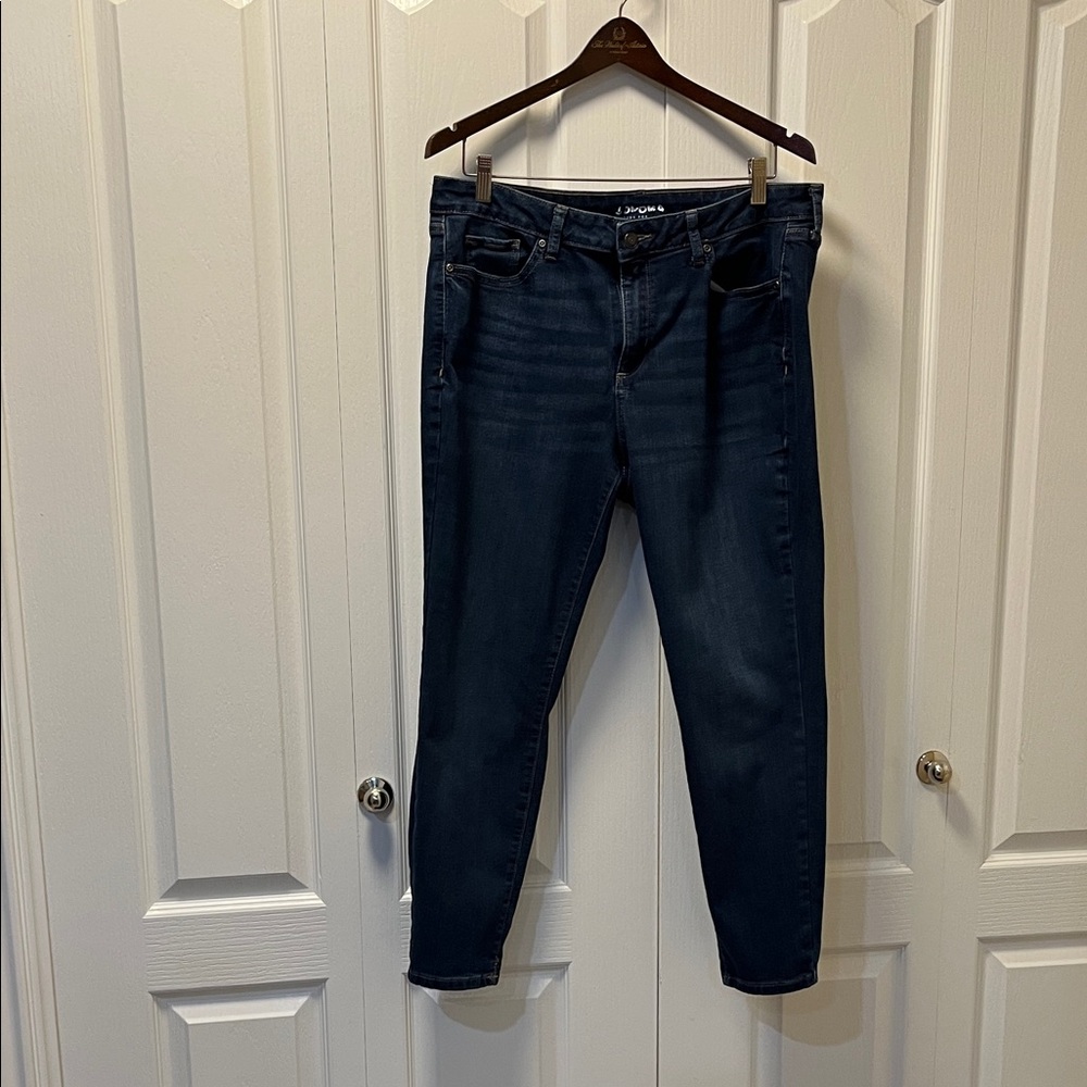 Sonoma (from Kohls) Medium Indigo Skinny Jeans